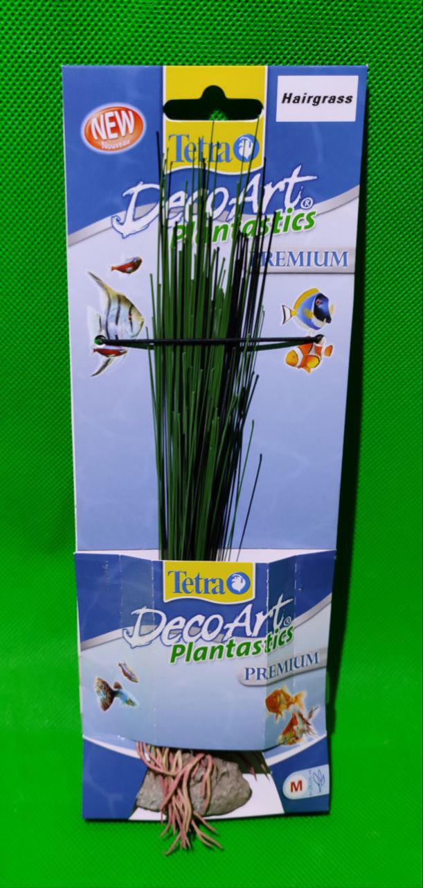 Pianta plastica
