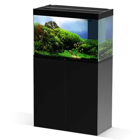 Acquario ciano con supporto